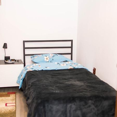 Studio Sonia - Tordosan Central - #5 Sibiu Eksteriør billede
